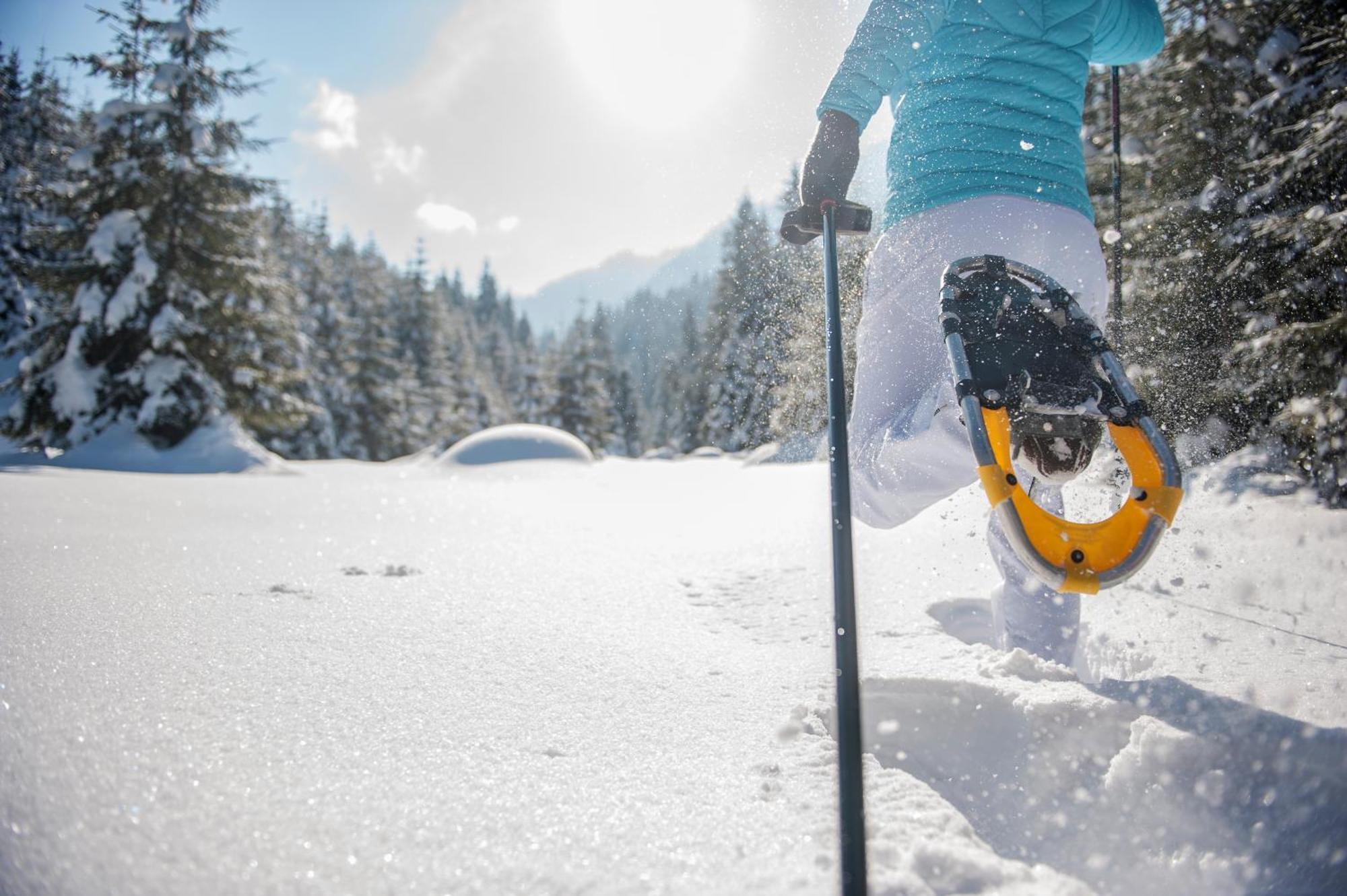 Kesselgrubs Wohlfuehlappartements Eben Im Pongau Dış mekan fotoğraf